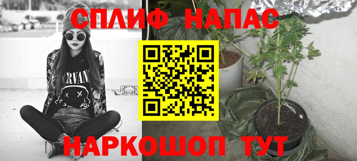 МАРИХУАНА марихуана  Канабис Bruce Banner  Алатырь  Бошки марихуана Amnesia  Вход с VPN 